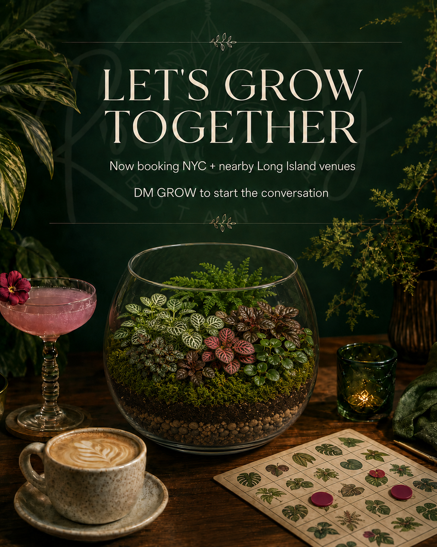 Rockaway Botanica Plant Night venue partnership