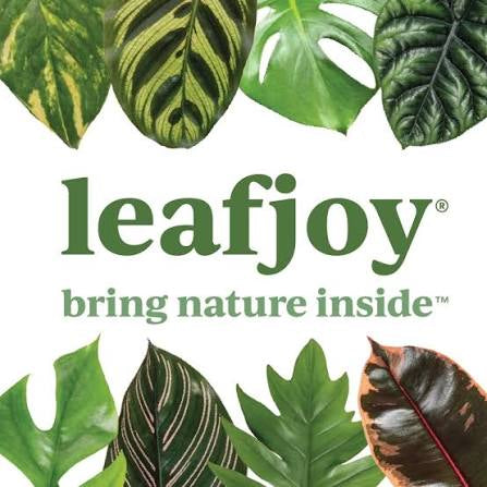 leafjoy