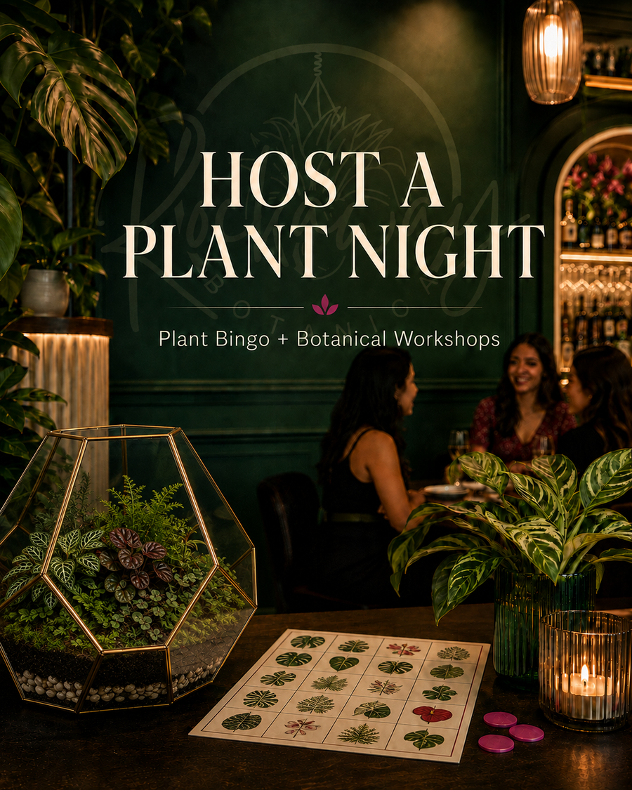 Rockaway Botanica Plant Night venue partnership
